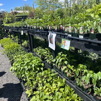 PRIMEX GARDEN CENTER - Updated February 2026 - 63 Photos & 78 Reviews