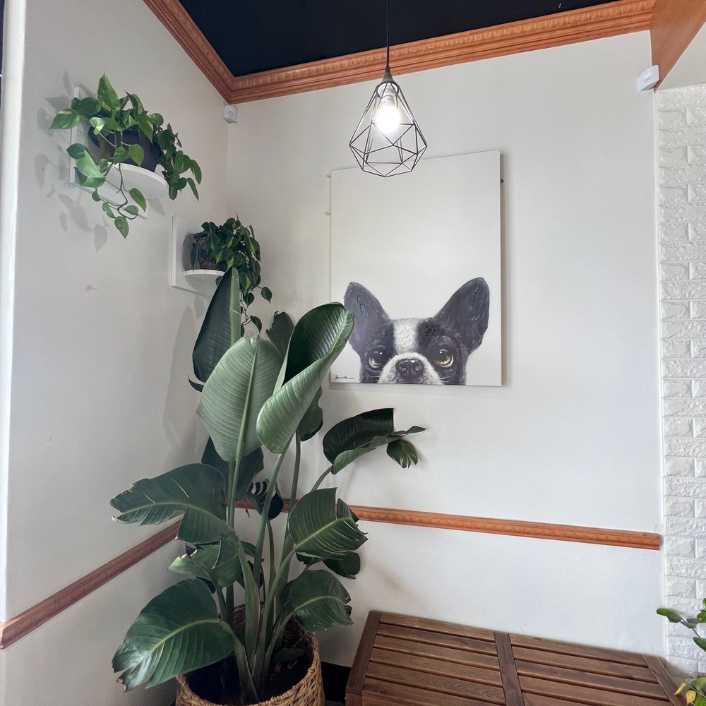 Flat White Coffee - Interior - Cafes Near Me - Cypress, California Flat White Coffee - Interior - Cafes Near Me - Cypress, California