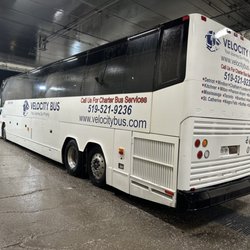 Velocity Bus