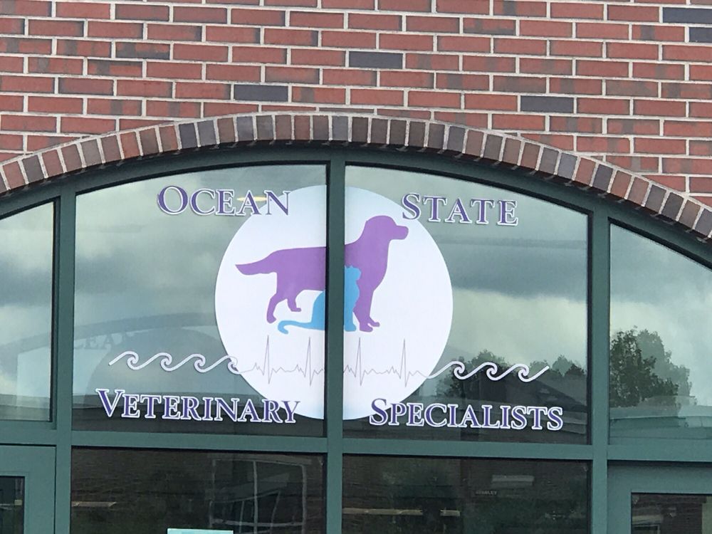 Ocean State Veterinary Specialists 67 Photos 158 Reviews Veterinarians 1480 S County Trl East Greenwich Ri Phone Number