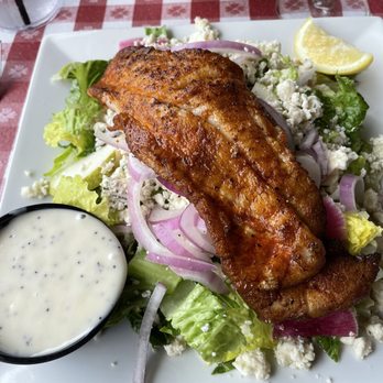 Conchy Joe's - Blackened Kingclip on salad - Seafood Near Me - Jensen Beach, Florida Conchy Joe's - Blackened Kingclip on salad - Seafood Near Me - Jensen Beach, Florida