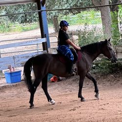 Southern Breeze Equestrian Center - Me riding Eliza