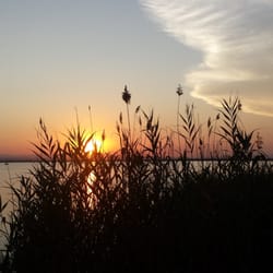 L'Albufera - Sunset
