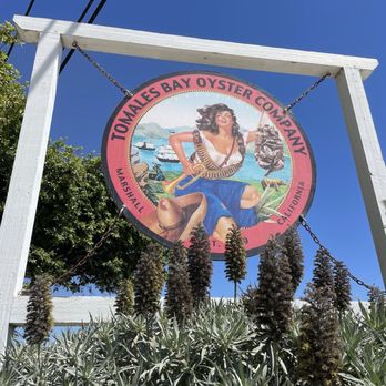 Tomales Bay Oyster Company - Seafood Markets Near Me - Marshall, California Tomales Bay Oyster Company - Seafood Markets Near Me - Marshall, California