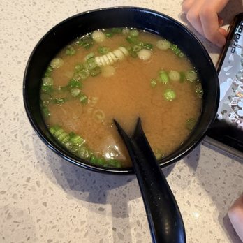 Bento Asian Kitchen + Sushi - Sushi Bars Near Me - Winter Park, Florida