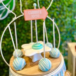 Sweet Wonders Candy Buffet & Design - Peter rabbit 1st first birthday dessert bar table buffet bunny theme cake pops cupcakes cake chocolate covered oreos iced cookies grass wall