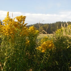 Banks - Vernonia State Trail