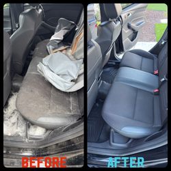 Folsom Wrap & Detail - Pet Hair Removal + Detail