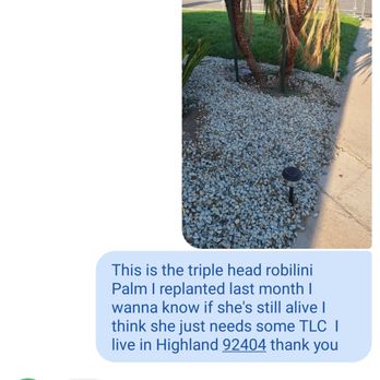 HLI Tree Experts - Tree Services Near Me