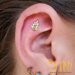 Artifex - Cartlidge Piercing