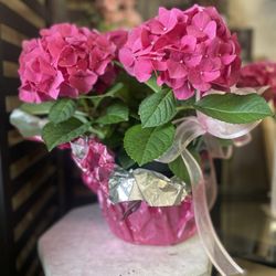 Lincoln Gardens Florist & Gifts