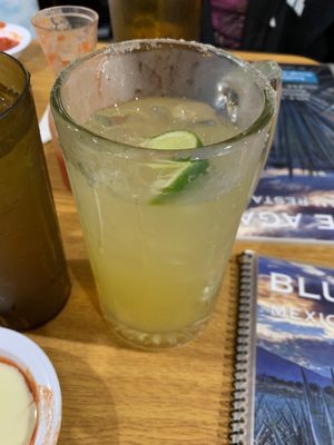 Blue Agave by null