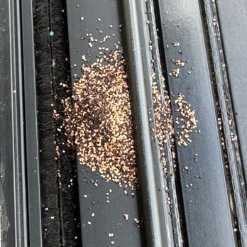Nykor Pest Services - Pest Control Near Me
