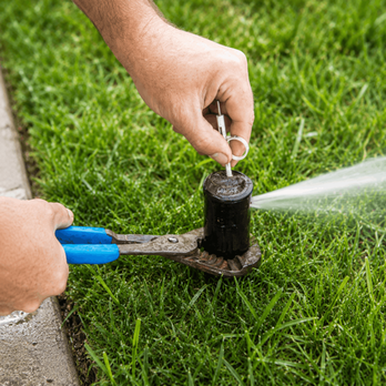 1. Rain Link Irrigation