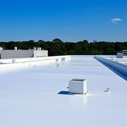 AED Roofers Water Proofers
