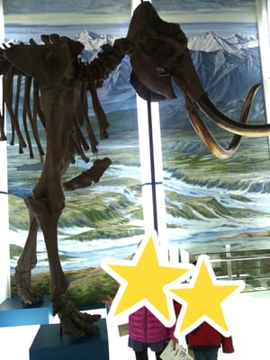 Hokkaido Museum by null