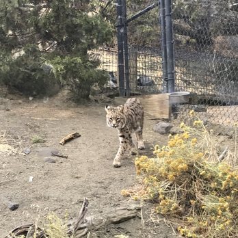 Animal Ark - Zoos Near Me - Reno, Nevada Animal Ark - Zoos Near Me - Reno, Nevada