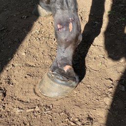 Injury from neglectful trainer