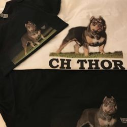 Direct to Garment - Put your dog on a shirt!