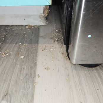 BeachBox Vacation Rentals - Chewing near the dishwasher - Vacation Rentals Near Me - Galveston, Texas BeachBox Vacation Rentals - Chewing near the dishwasher - Vacation Rentals Near Me - Galveston, Texas
