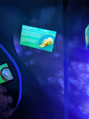 The Florida Aquarium by null