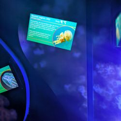 The Florida Aquarium - Sign.