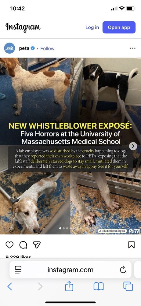 UMass Memorial Medical Center - University Campus - patient advocate in Worcester, MA