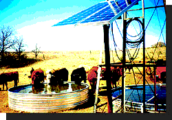 New Source Energy Constructor's