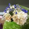 The Garden Shed Florist gift card