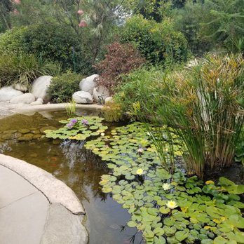 Water Conservation Garden - Such a beautiful peaceful serene place! And you can even bring your dog! - Botanical Gardens Near Me - El Cajon, California Water Conservation Garden - Such a beautiful peaceful serene place! And you can even bring your dog! - Botanical Gardens Near Me - El Cajon, California