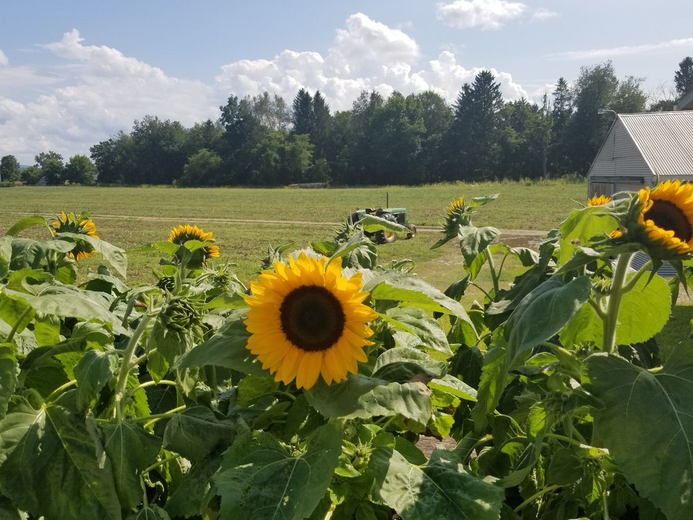 MOSES FARM 43 Grandma Moses Rd, Eagle Bridge, NY Yelp