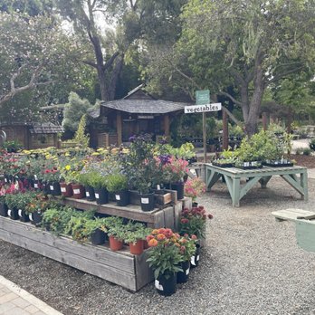 Cambria Nursery and Florist - Nurseries & Gardening Near Me - Cambria, California Cambria Nursery and Florist - Nurseries & Gardening Near Me - Cambria, California