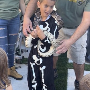 Paramount Reptile Shows - Arts & Entertainment Near Me - Paramount, California Paramount Reptile Shows - Arts & Entertainment Near Me - Paramount, California