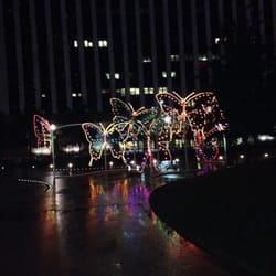 Belo Garden - It's starting to look a lot like Christmas