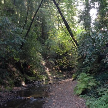 Mount Hermon Adventures - Challenge Courses Near Me - Mount Hermon, California