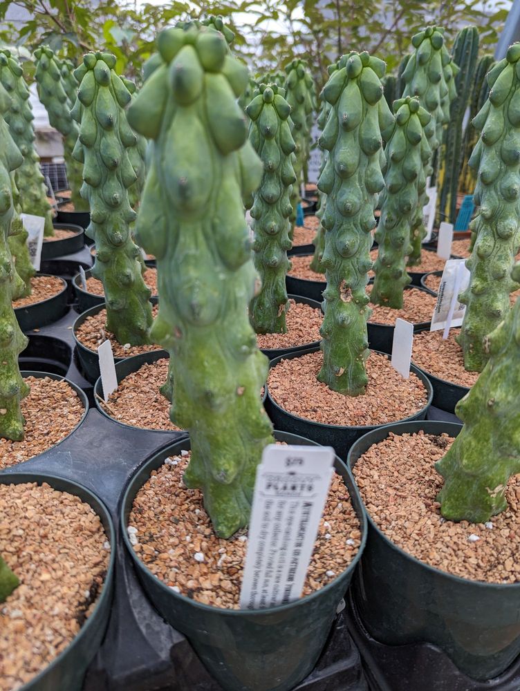 GROOVY PLANTS RANCH 247 Photos & 63 Reviews 4140 Country Rd 15