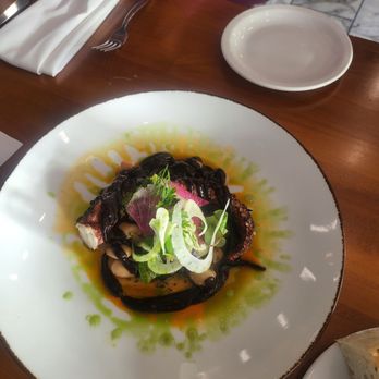 Il Lusso - Char broiled octopus - Steakhouses Near Me - Tallahassee, Florida Il Lusso - Char broiled octopus - Steakhouses Near Me - Tallahassee, Florida