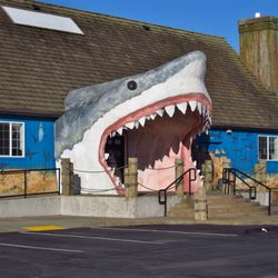 Sharky's
