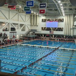 MIT Recreation - One pool competition
