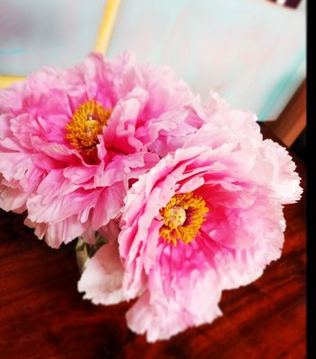 Inn On Columbia by null