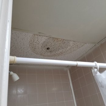 Surfside Motel-Seaside Heights - Gross shower with gross ceiling tiles - Hotels Near Me - Seaside Heights, New Jersey