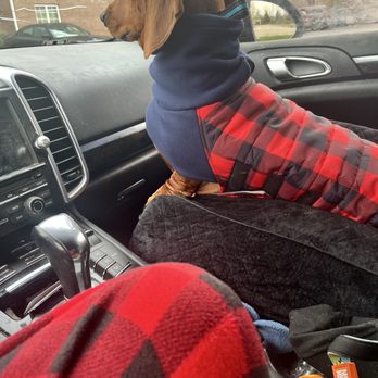 Walmart - Medical alert, dog, Slinkie - Pharmacy Near Me - Clarksville, Indiana Walmart - Medical alert, dog, Slinkie - Pharmacy Near Me - Clarksville, Indiana