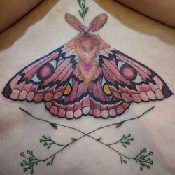 Dogstar Tattoo Company - Emperor gum moth by Michael Beckwith.