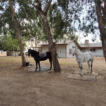 Rhinestone Stables - Horse Boarding Near Me - Stevinson, California