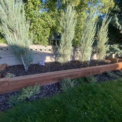 Moritz Enterprise - Seeds and treated customers lawn