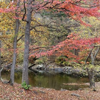 Pipestem Resort State Park - Classic fall colors!! - Resorts Near Me - Pipestem, West Virginia Pipestem Resort State Park - Classic fall colors!! - Resorts Near Me - Pipestem, West Virginia