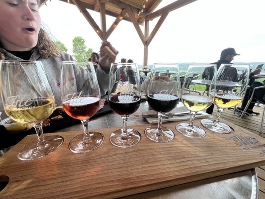 Vignoble Isle de Bacchus by null