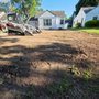 Photo of Jessy N Landscaping