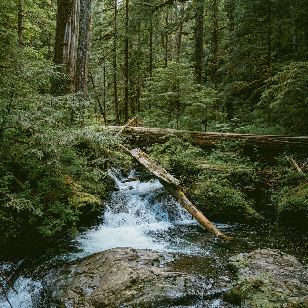 Lake 22 - First little waterfall you'll encounter. Maybe 15 minutes into the hike - Hiking Near Me - Granite Falls, Washington Lake 22 - First little waterfall you'll encounter. Maybe 15 minutes into the hike - Hiking Near Me - Granite Falls, Washington