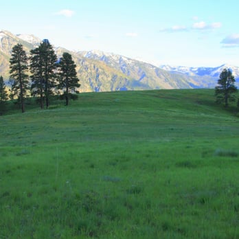 Hells Canyon National Recreation Area - Grassy swale near Hat Creek. - Hiking Near Me - Wallowa, Oregon